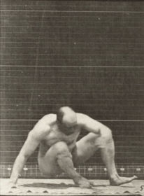 Plate 258 Arising from the ground and walking off — figure reference